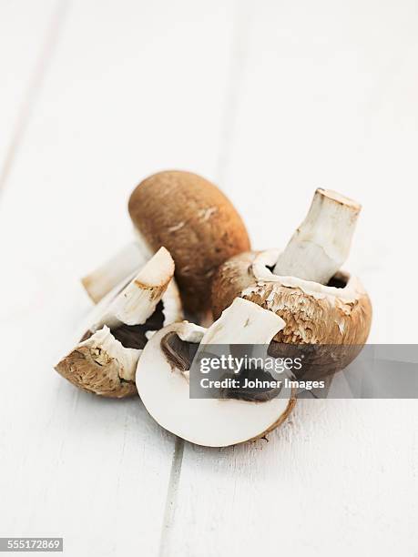 mushrooms on white background - agaricus silvaticus stock pictures, royalty-free photos & images