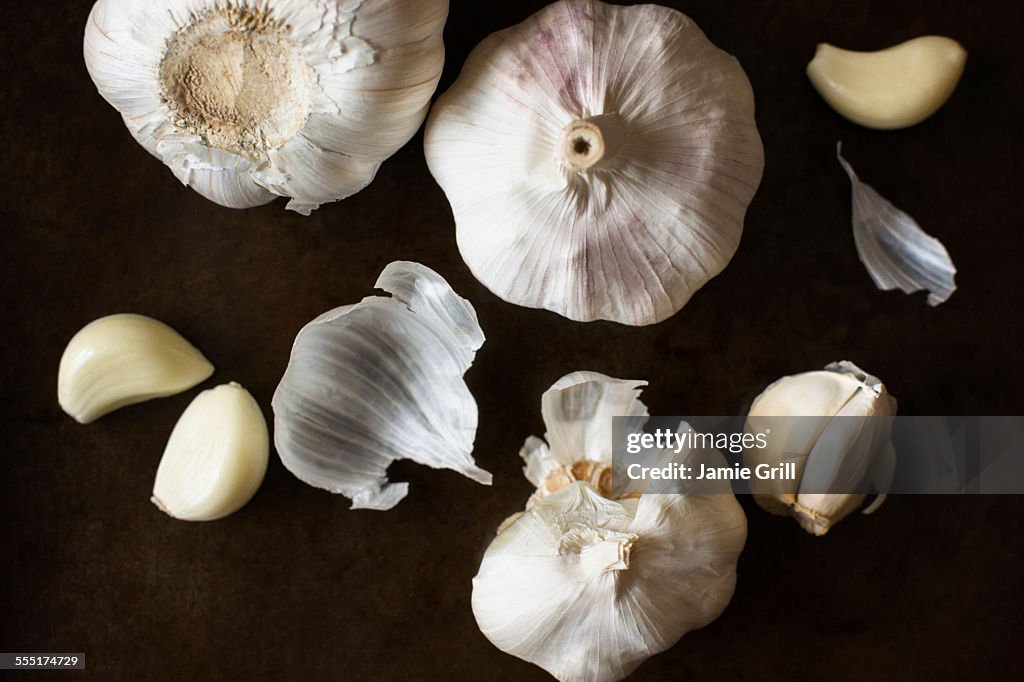 Studio shot of garlic