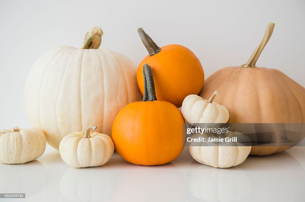 Studio shot of pumpkins