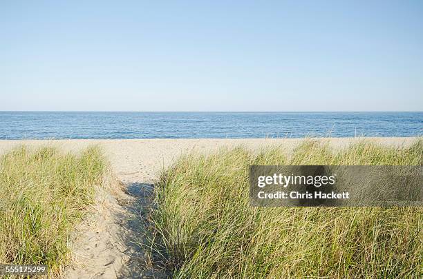 usa, massachusetts, nantucket, siasconset, path leading to beach - nantucket stockfoto's en -beelden