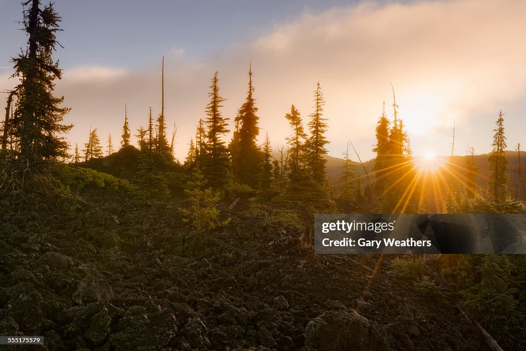 USA, Oregon, Mckenzie Pass, Scenic view of landscape at sunset