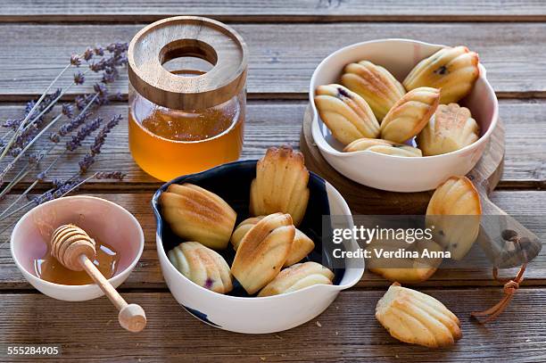 madeleins - madeleine stock pictures, royalty-free photos & images