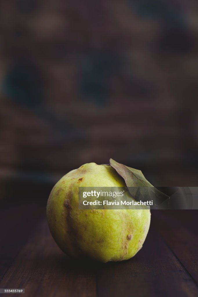 Quince fruit (cydonia oblonga) on dark background