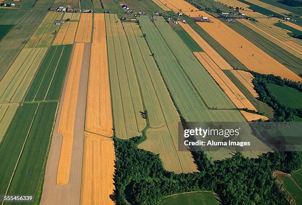 aerial view of agricultural land - quebec aerial stock pictures, royalty-free photos & images