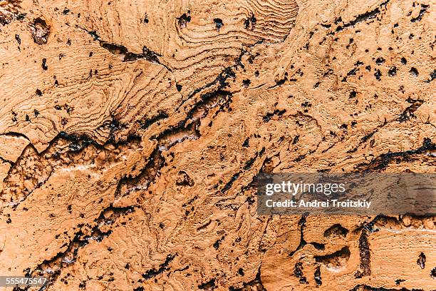 seamless natural brown cork texture wall pattern - sughero foto e immagini stock