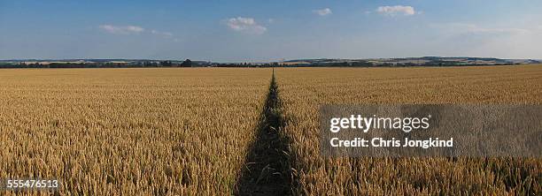 path through field - off the beaten path englische redewendung stock-fotos und bilder