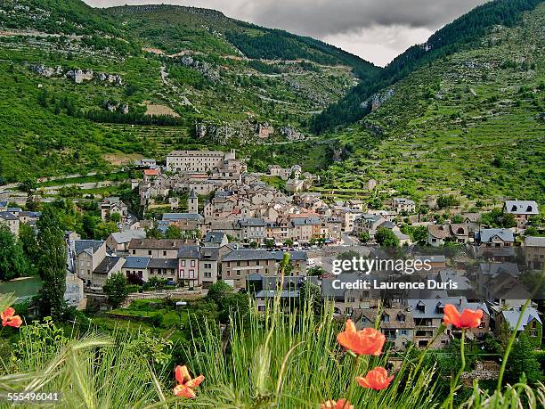 sainte enimie en lozère - mende fotografías e imágenes de stock