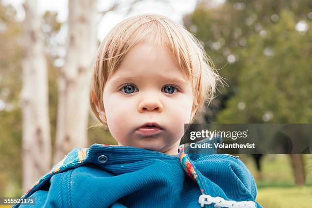cute baby girl with blue eyes and blond hair - blonde hair blue eyed baby photos et images de collection