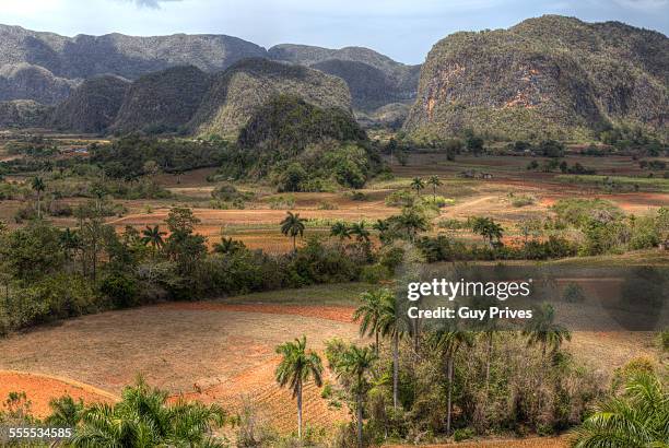 valle de vinales, cuba - valle de vinales stock pictures, royalty-free photos & images