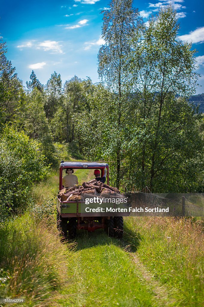 Hauling firewood