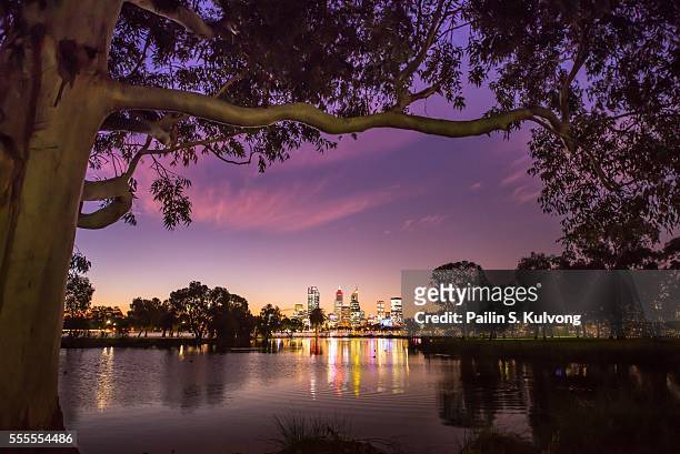 sunset in perth, western australia, australia - perth australia foto e immagini stock