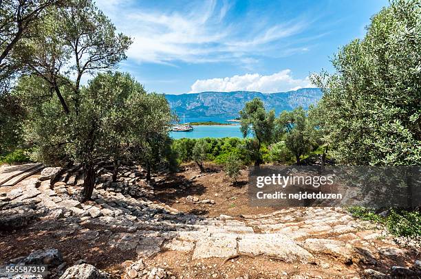 cedrae ancient city - olive tree imagens e fotografias de stock