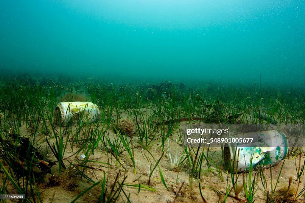 Garbage on the seabed