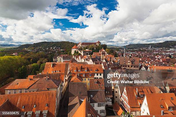 germany, baden-wurttemburg, exterior - tübingen stock pictures, royalty-free photos & images