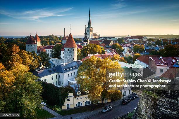 tallinn in golden - tallinn stock pictures, royalty-free photos & images