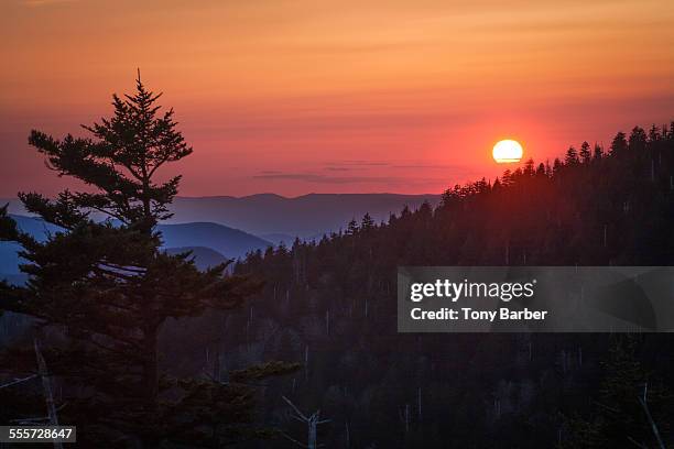 smoky mountain sunset - clingman's dome stockfoto's en -beelden