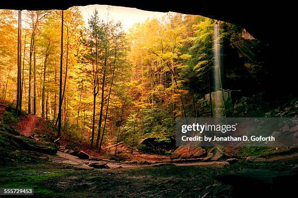 yahoo falls in fall - kentucky fotografías e imágenes de stock