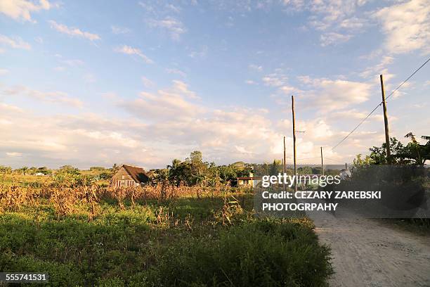 peaceful and rural moods of vinales - sturbridge stock pictures, royalty-free photos & images