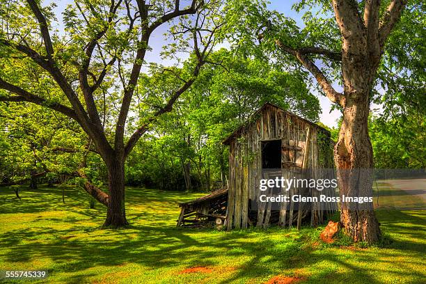 still standing - columbia south carolina stockfoto's en -beelden