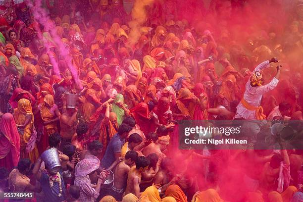 holi celebrations - festival of colour bildbanksfoton och bilder