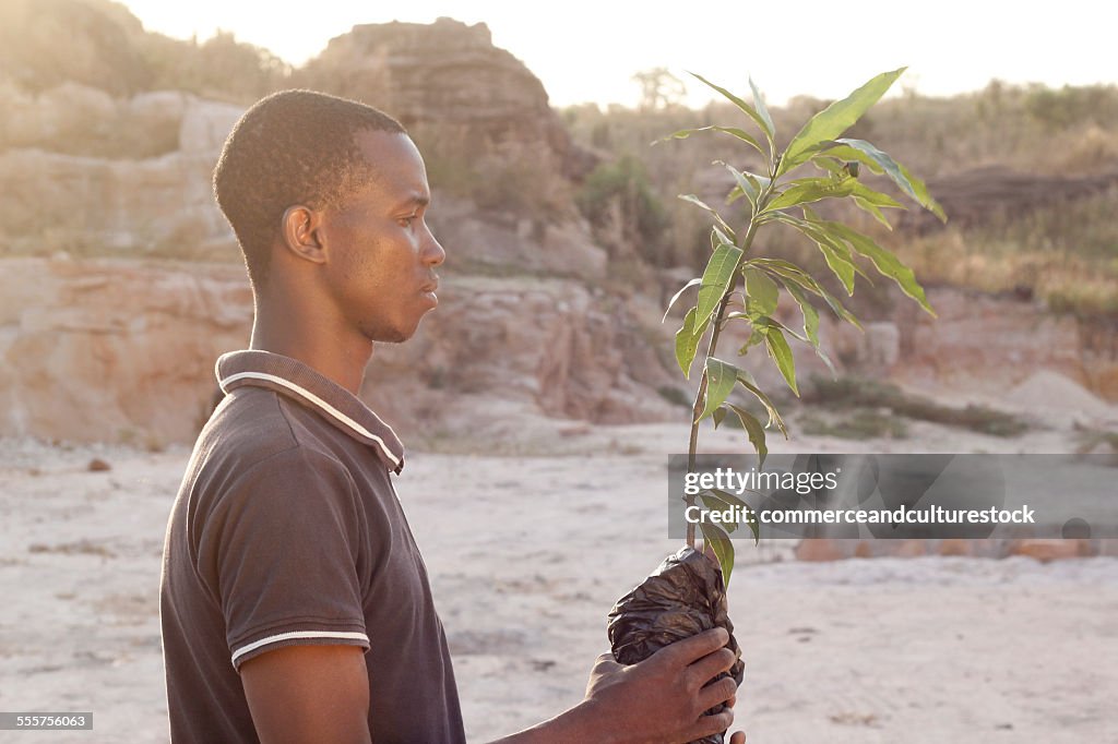 A man with a young tree