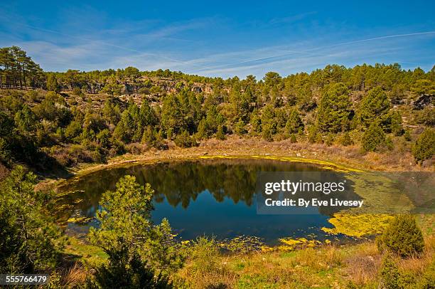 laguna cardenillas - verdigris stock pictures, royalty-free photos & images
