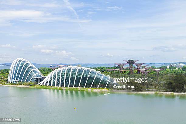 singapore botanic garden - stadt singapur stock-fotos und bilder