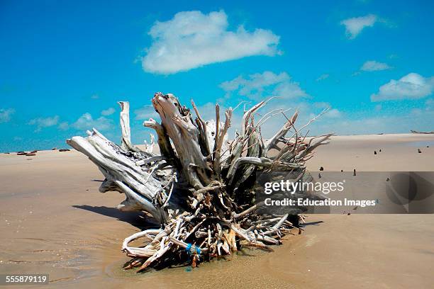 Cabure Beach, Tutoia, Maranhao, Brazil.