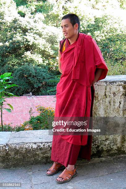 Monk, Trongsa Dzong Monastery, Bhutan.