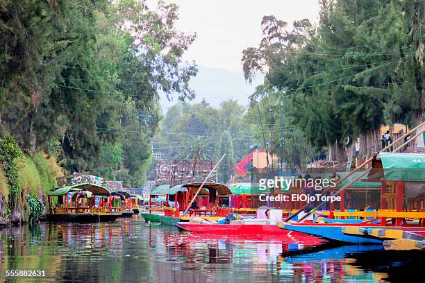 view of trajinera boats in xochimilco, mexico df - xochimilco stock pictures, royalty-free photos & images