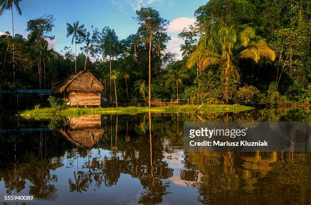 house on shore of amazon river reflections - amazonas colombia foto e immagini stock