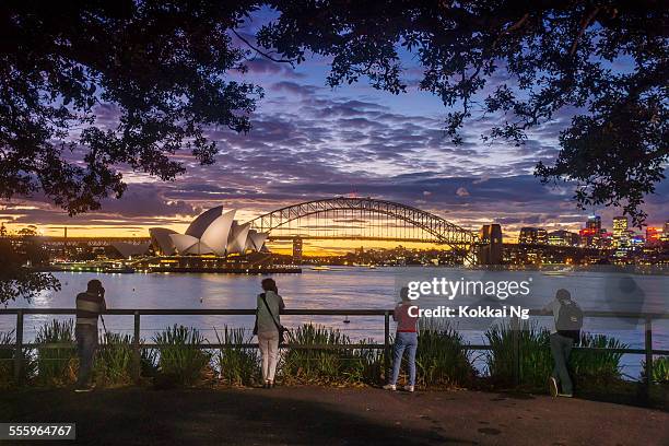 sydney from mrs macquaries chair - porto di sydney foto e immagini stock