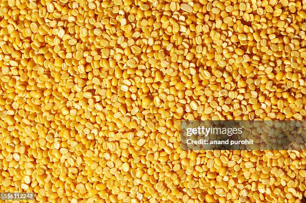 yellow split mung dal, moong dal - dahl stock pictures, royalty-free photos & images