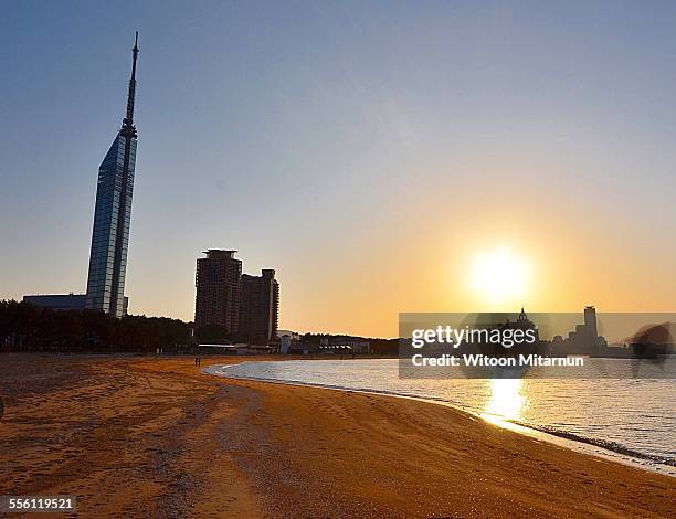 sunset in fukuoka, japan - fukuoka prefecture ストックフォトと画像