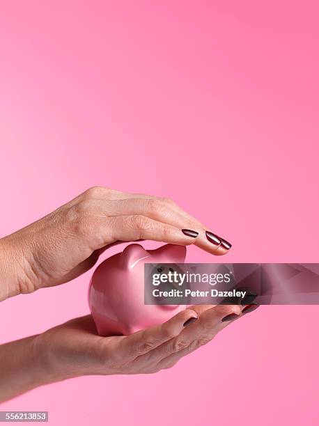 protecting your savings piggy bank - protection concepts stock pictures, royalty-free photos & images