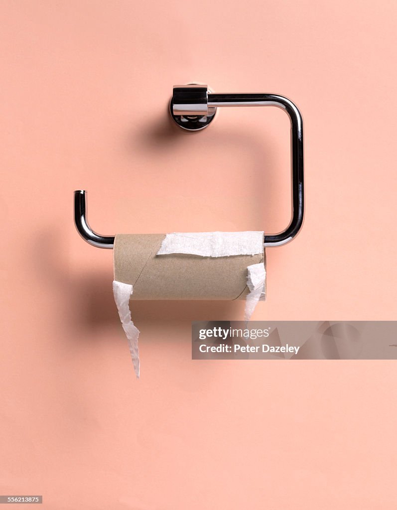 Empty toilet roll holder close up