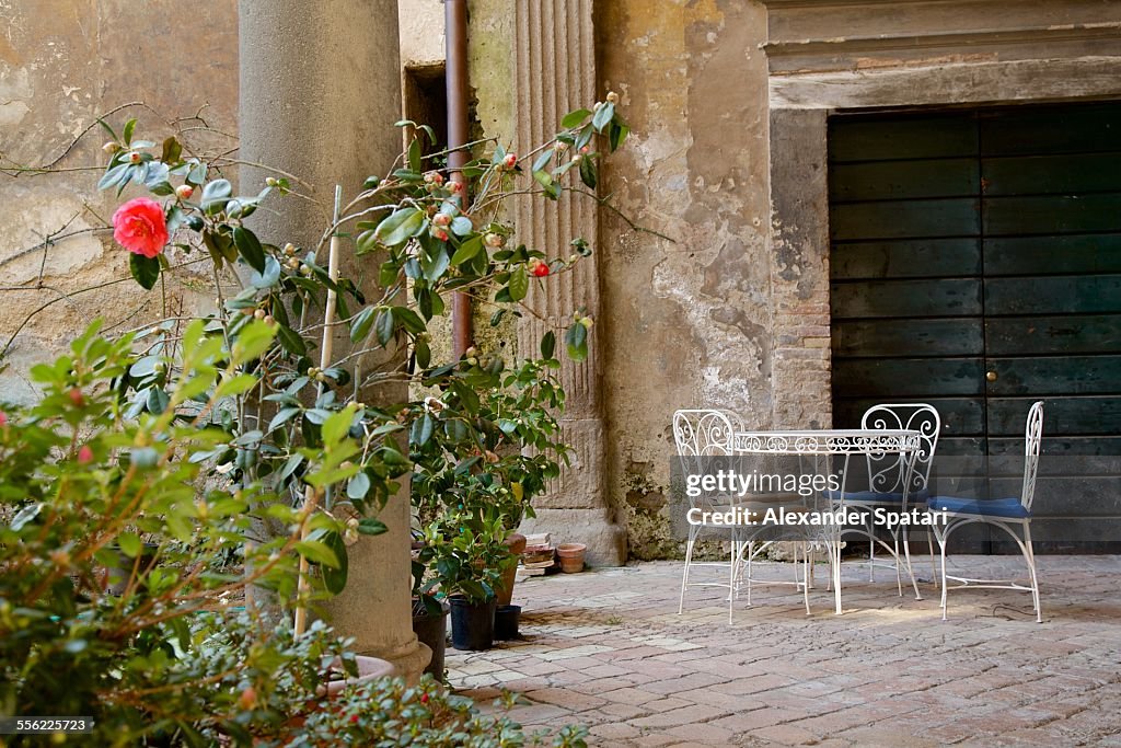 Old inner courtyard with roses in Orvieto, Italy