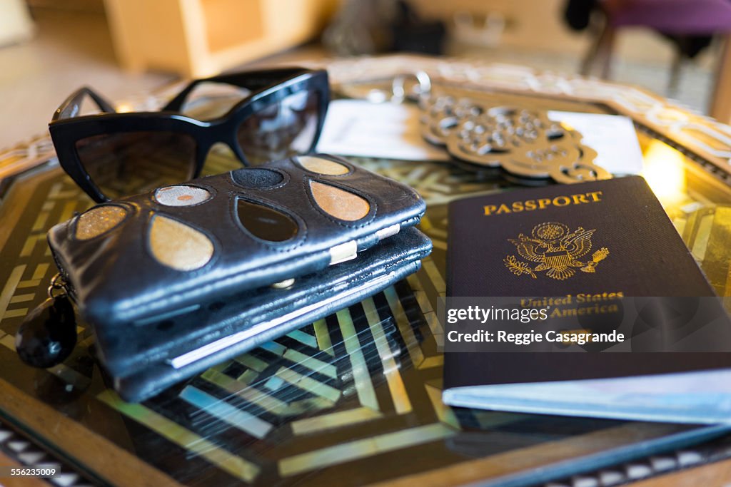 Travel kit with passport