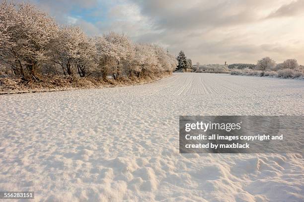 winter snow-early morning - brittany france countryside stock pictures, royalty-free photos & images
