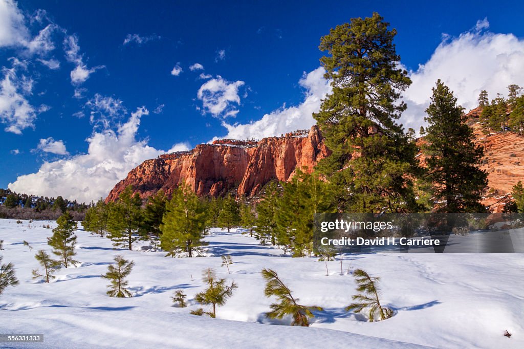 Zion National Park, Utah