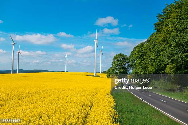 rural road and wind turbines in canola field - hesse stock pictures, royalty-free photos & images