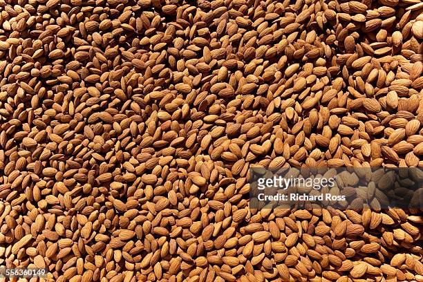 bulk almonds - almonds foto e immagini stock