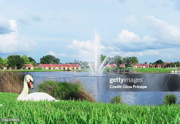 kissimmee residence in florida - kissimmee stock pictures, royalty-free photos & images