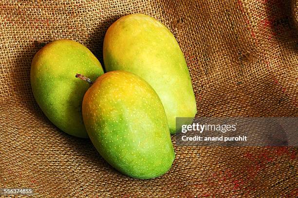 kesar mango, fruit, gujarat, india - mangoes stock pictures, royalty-free photos & images