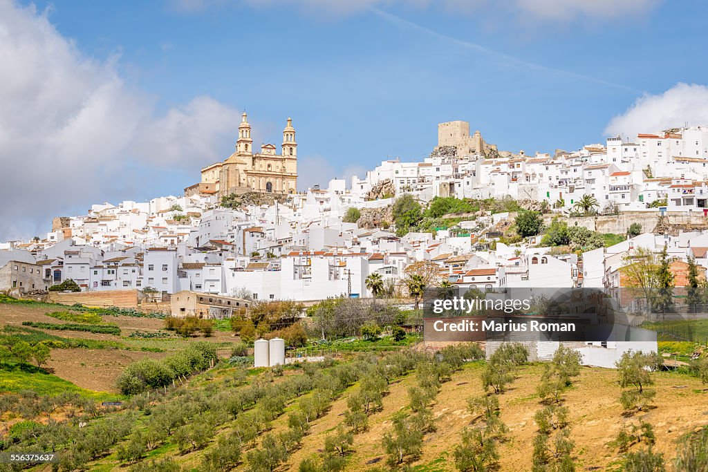 Olvera, Sierra de Grazalema, Cadiz Andalusia Spain