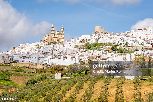 olvera, sierra de grazalema, cadiz andalusia spain - cadiz spain stock pictures, royalty-free photos & images