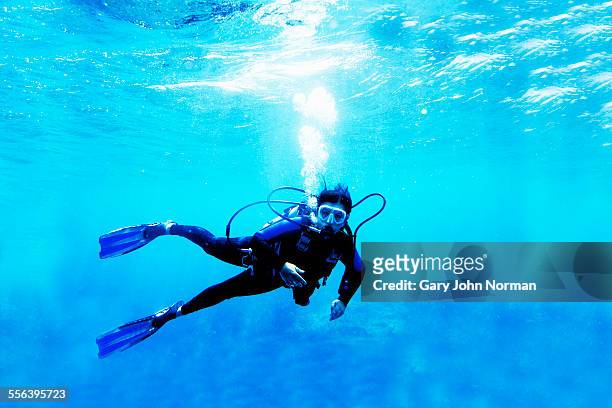 woman scuba diver in blue ocean. - mergulho submarino - fotografias e filmes do acervo
