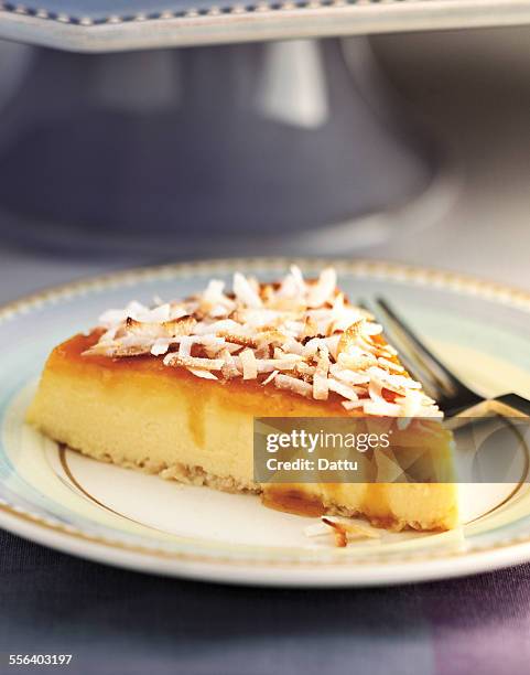 coconut flan - pudim-de-leite imagens e fotografias de stock