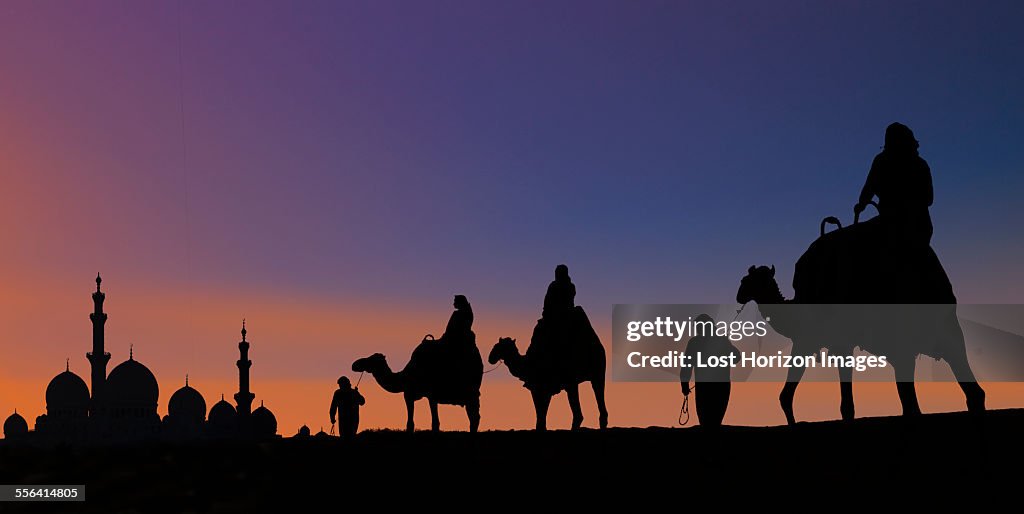 Camel caravan arriving at mosque, Abu Dhabi, United Arab Emirates