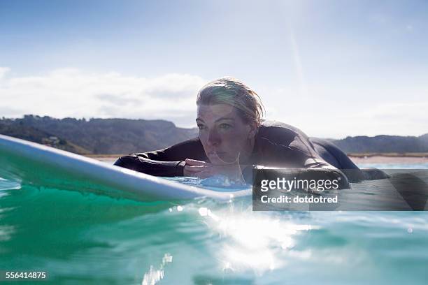 surfer in the water, bay of islands, nz - mature woman in water stock pictures, royalty-free photos & images